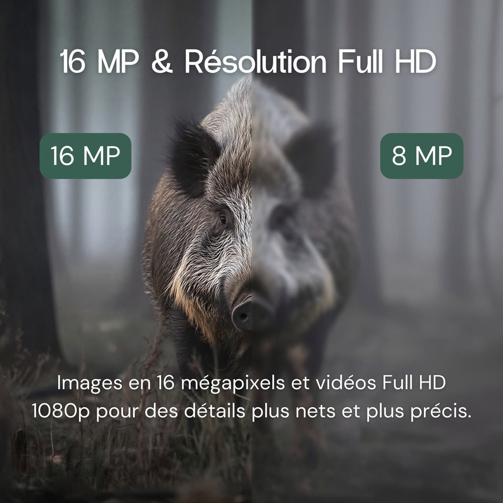 Caméra de terrain Full HD avec écran – vue 5
