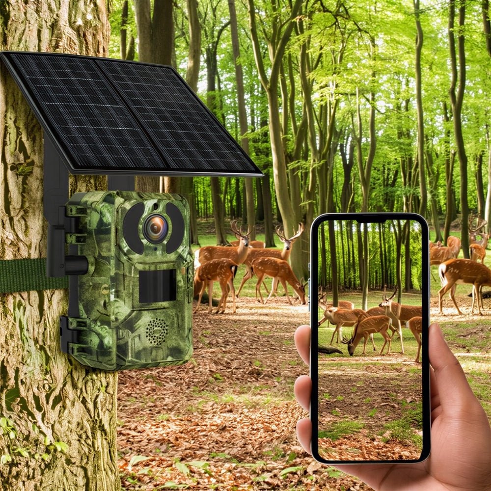 Caméra de terrain solaire 4G 4K – vue 1