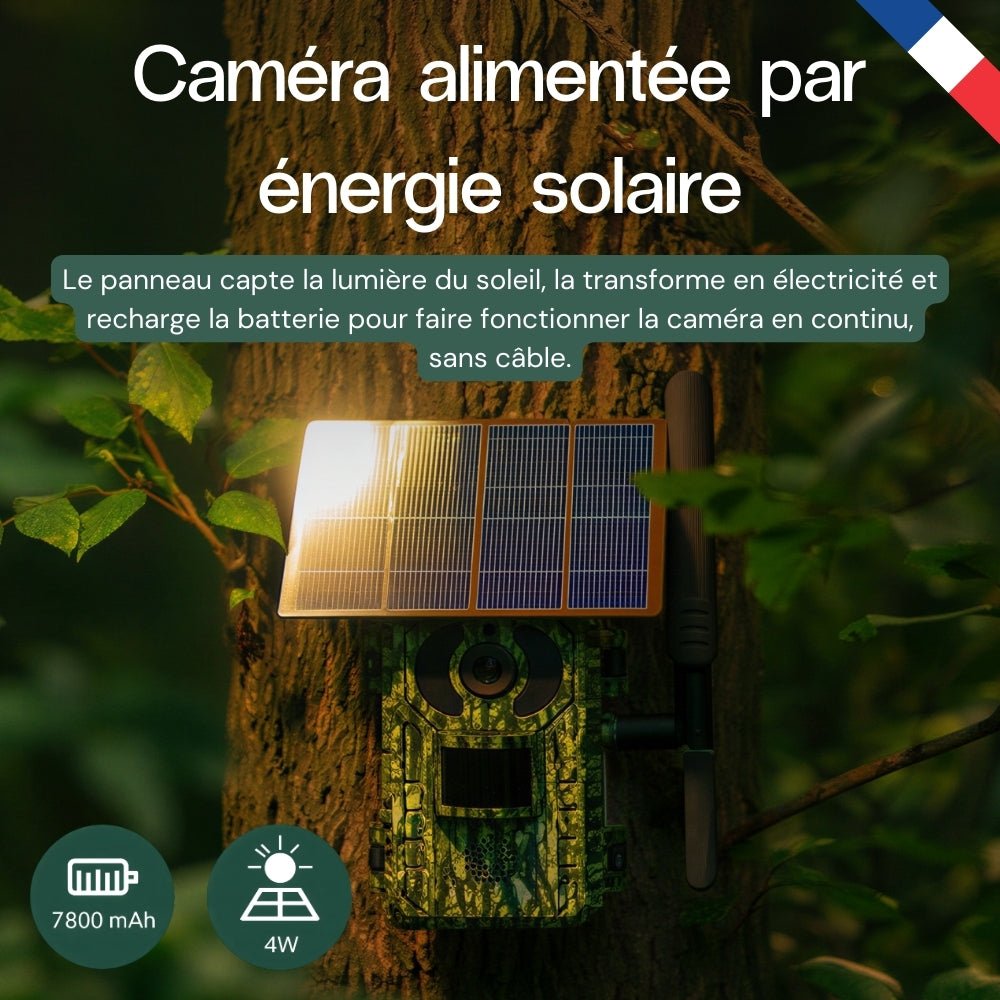 Caméra de terrain solaire 4G 4K – vue 5