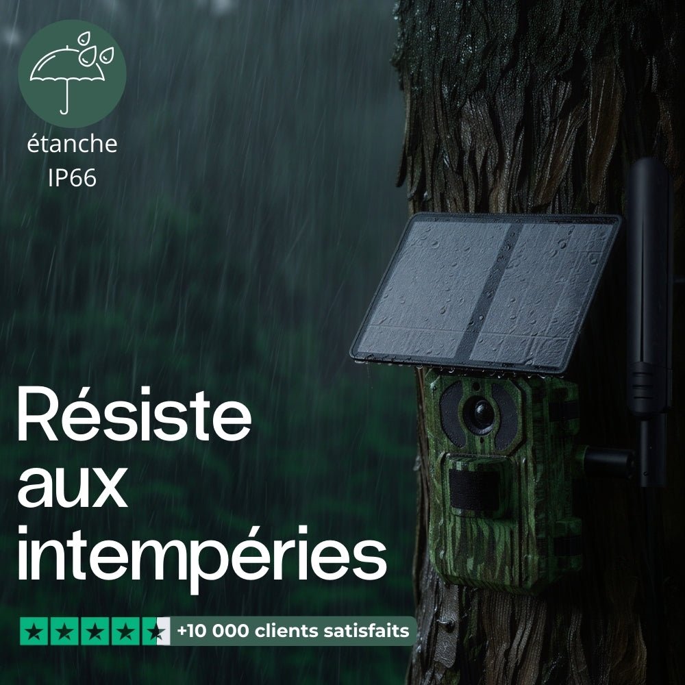 Caméra de terrain solaire 4G 4K – vue 7