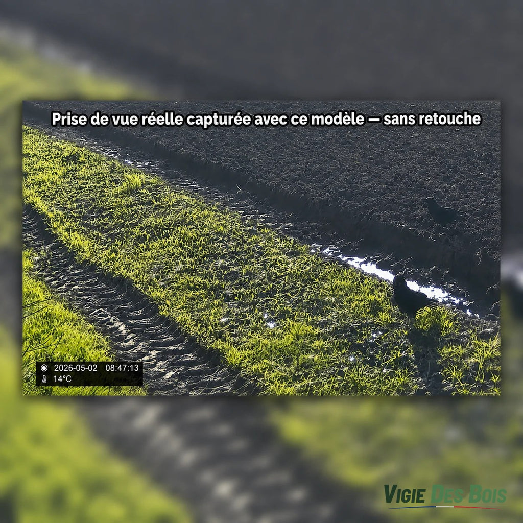 Caméra de Chasse 20 MP Écran LCD – Vision Nocturne 36 LED, Horodatage