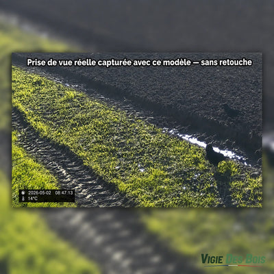 Caméra de Chasse 20 MP Écran LCD – Vision Nocturne 36 LED, Horodatage