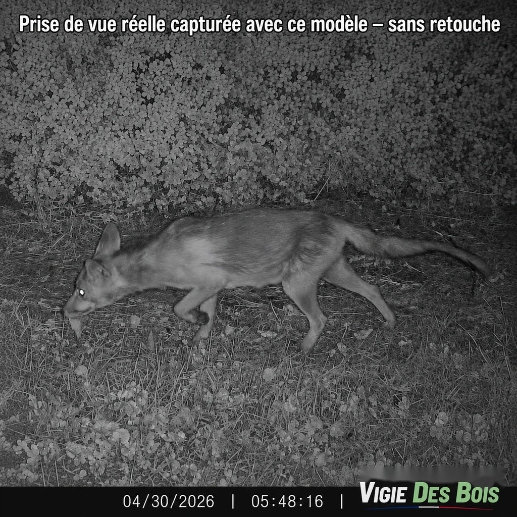 Caméra de Chasse 20 MP Écran LCD – Vision Nocturne 36 LED, Horodatage