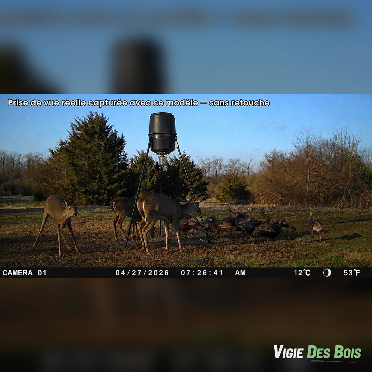 Caméra de Chasse Full HD 1080p Jour & Nuit – Vision Nocturne Infrarouge, Étanche