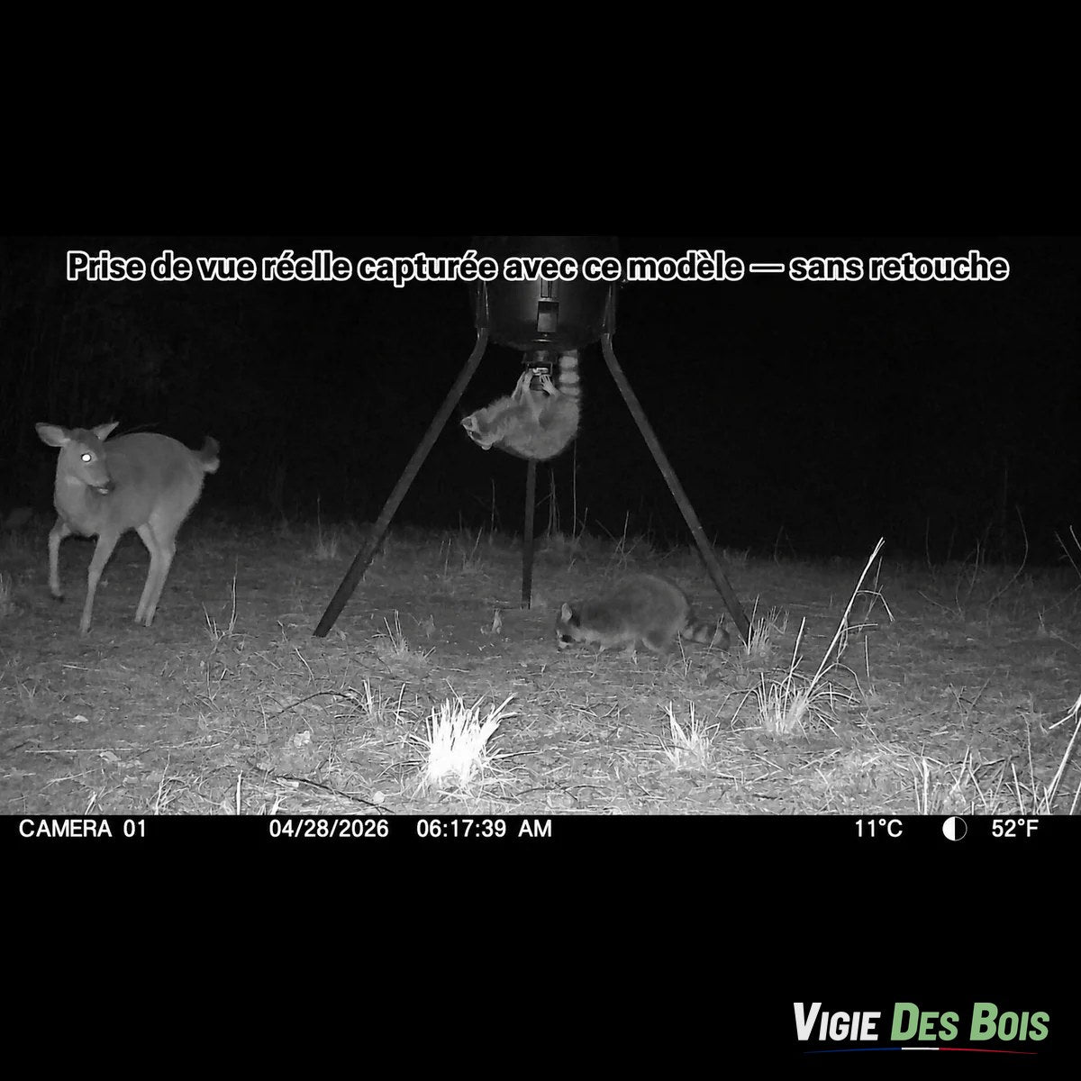 Caméra de Chasse Full HD 1080p Jour & Nuit – Vision Nocturne Infrarouge, Étanche