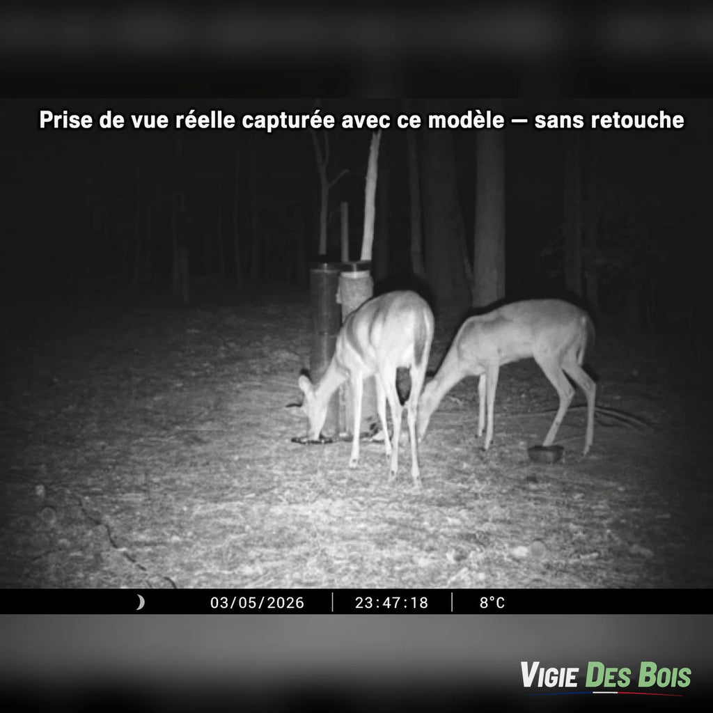 Caméra de Chasse WiFi 32 MP Full HD – Photos sur Mobile à Proximité, Vision Nocturne 46 LED