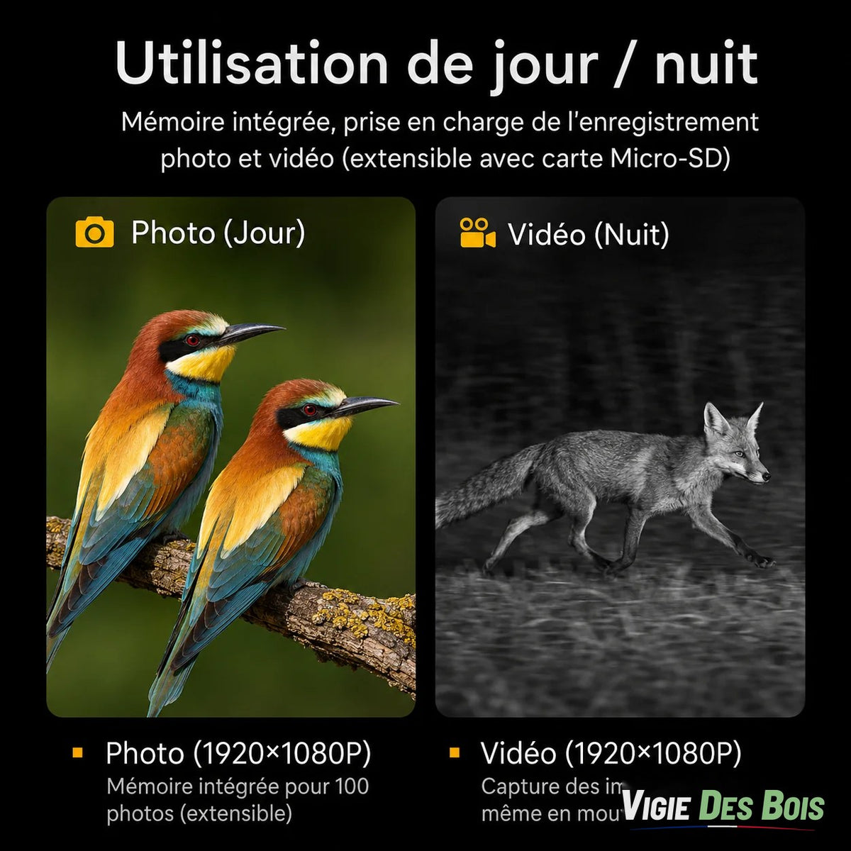Jumelles de Vision Nocturne - Autonomie 3 heures