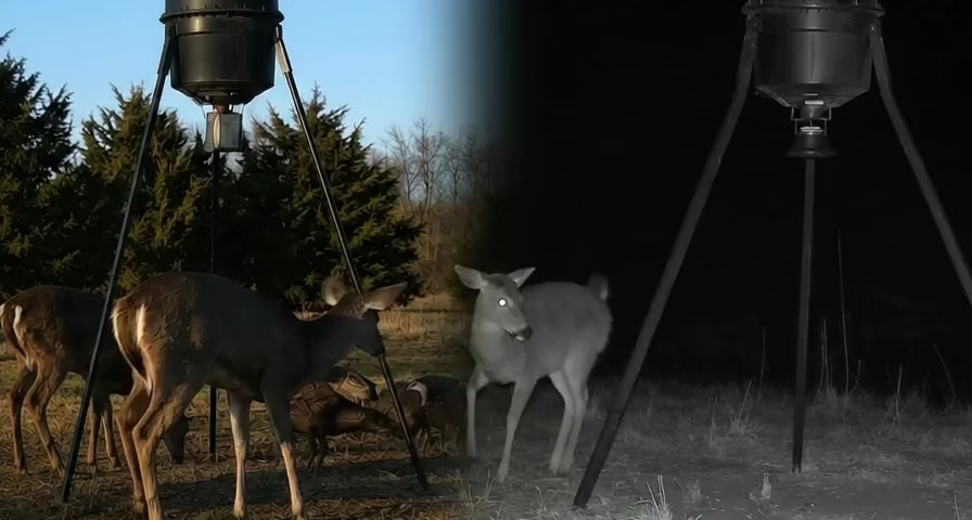 Charger la vidéo: Une Surveillance Utile De Jour Comme De Nuit