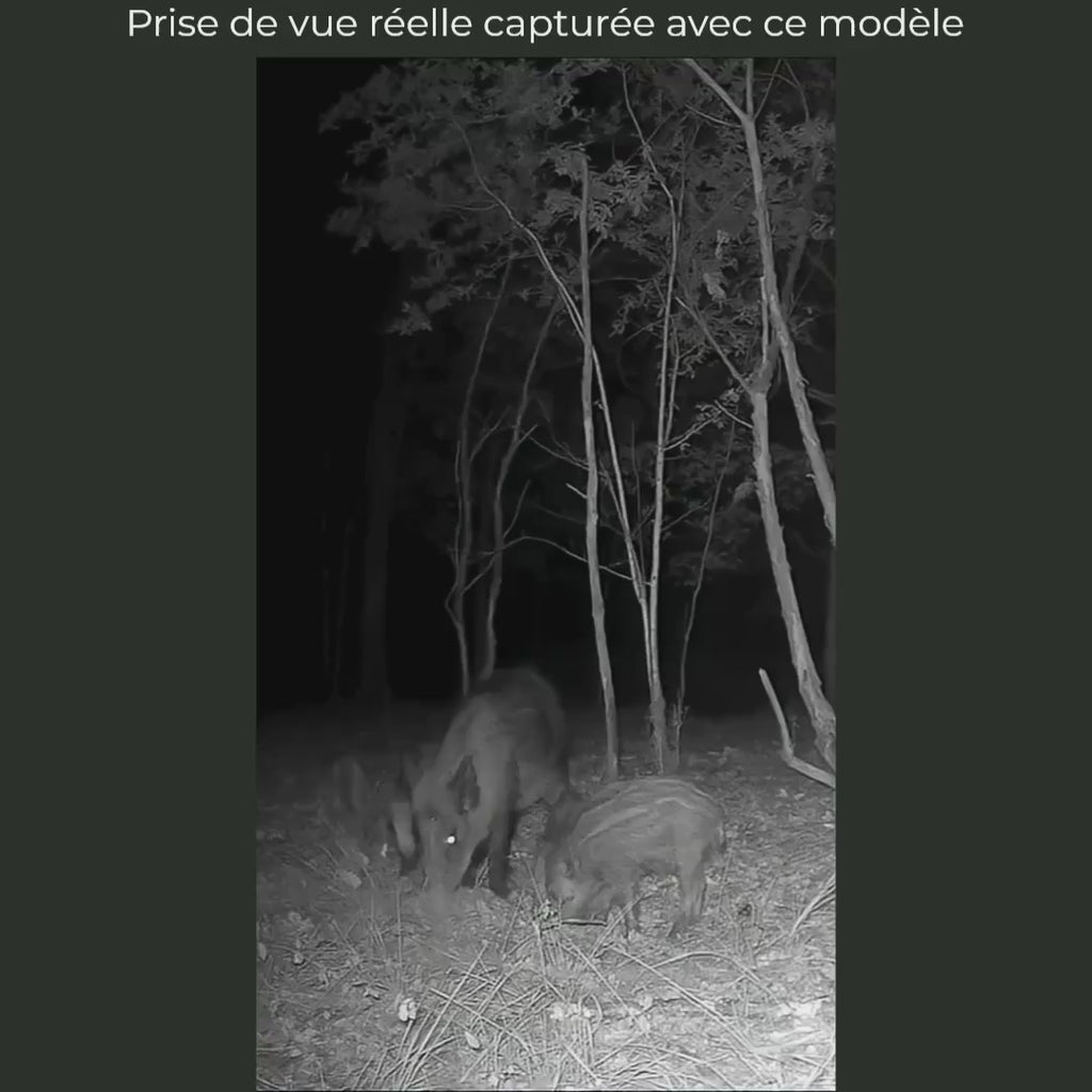 Caméra de Chasse WiFi 32 MP Full HD – Photos sur Mobile à Proximité, Vision Nocturne 46 LED