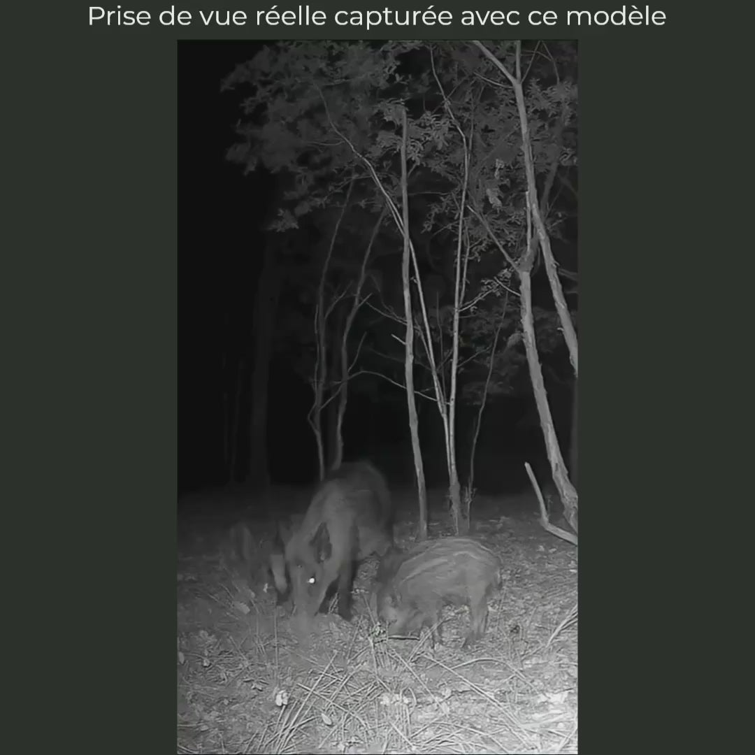 Caméra de Chasse WiFi 32 MP Full HD – Photos sur Mobile à Proximité, Vision Nocturne 46 LED