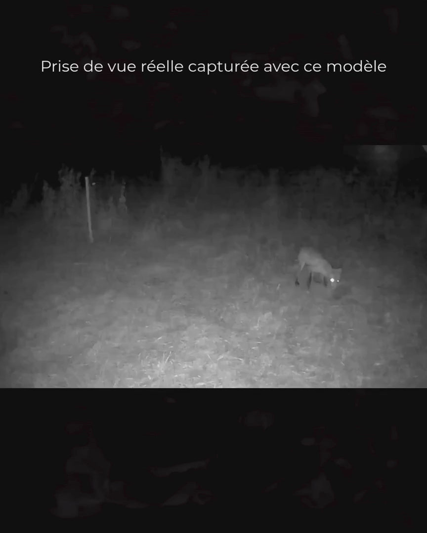 Vidéo