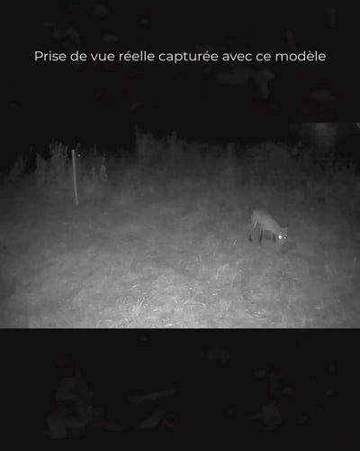 Caméra de chasse 4G solaire 2K, SIM et microSD 128 Go incluses – Affût