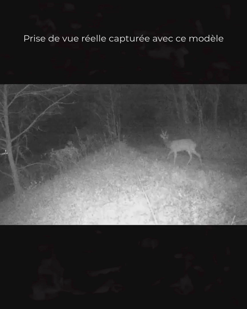 Caméra de Chasse 4G Solaire Extérieure – Sans WiFi ni Abonnement, SIM + MicroSD 128 Go Incluses