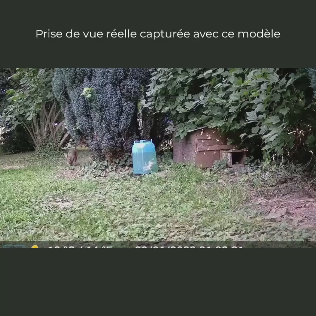 Caméra de Chasse Full HD 1080p Jour & Nuit – Vision Nocturne Infrarouge, Étanche