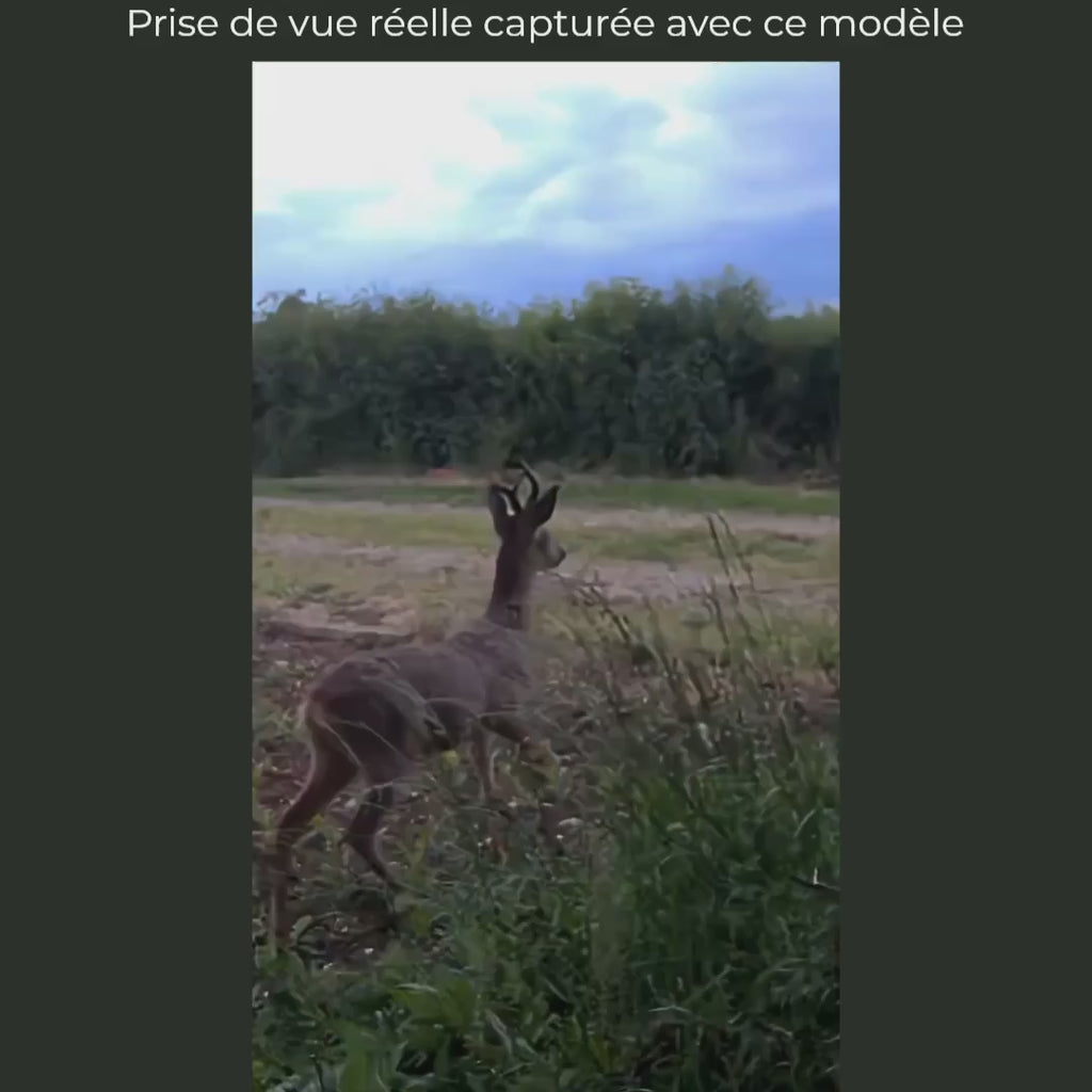 Caméra de Chasse WiFi 32 MP Full HD – Photos sur Mobile à Proximité, Vision Nocturne 46 LED
