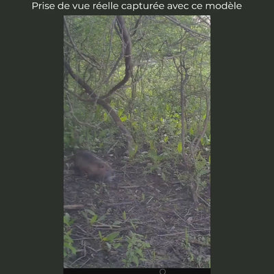 Caméra de chasse 20 MP à écran, vision nocturne 36 LED, horodatage – Coulée
