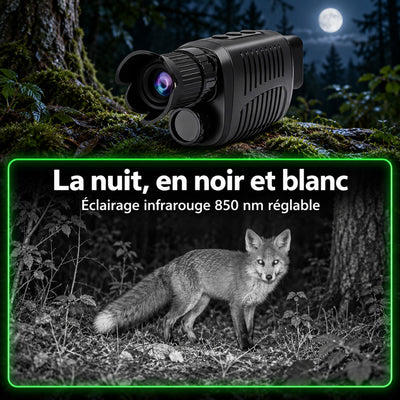 Vision de nuit en noir et blanc, éclairage infrarouge 850 nm réglable